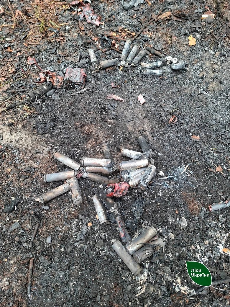 Лісову пожежу після атаки російського дрона на Київщині ліквідували за кілька годин