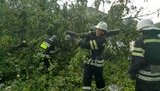 Унаслідок негоди знеструмлено 53 населені пункти в 5 областях України, - ДСНС