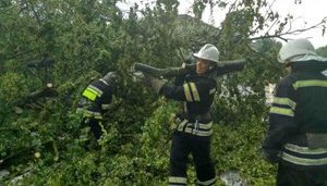 Унаслідок негоди знеструмлено 53 населені пункти в 5 областях України, - ДСНС