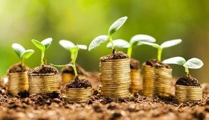 Щорічні надходження до 16 мільярдів: в Україні планують запустити земельні облігації