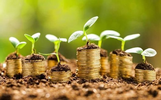 Щорічні надходження до 16 мільярдів: в Україні планують запустити земельні облігації