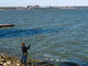 море,азовское