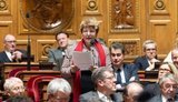 У Сенаті Франції закликають не змушувати українців оформлювати статус біженця