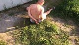 харьков пьяный патрульные