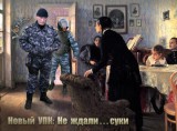 Не ждали