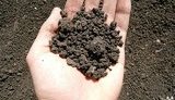 Рада ввела налоговые льготы при регистрации "упрощенки" для семейных фермерских хозяйств