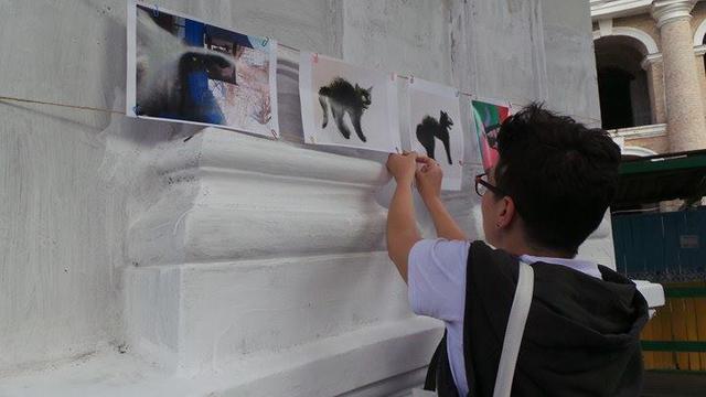 Акция-выставка #CatsForTundra в поддержку украинского политзаключенного в РФ Александра Кольченко прошла в Киеве 05