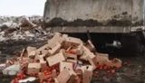 в россии помидоры