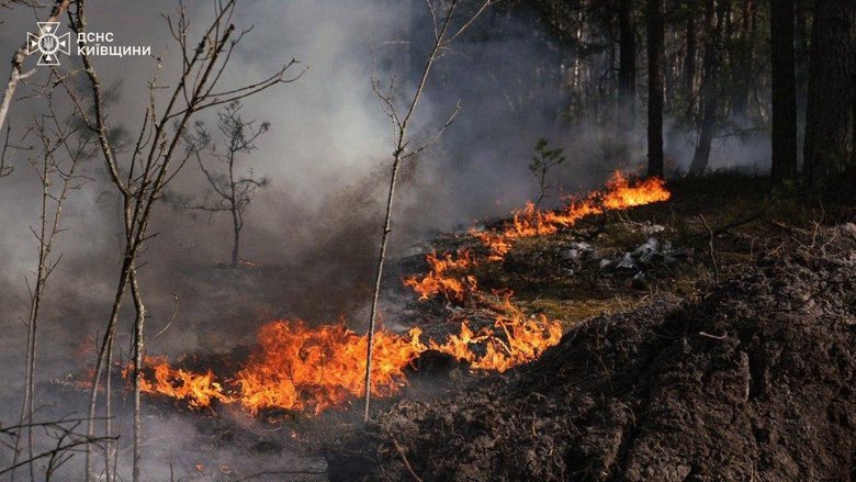 Пожежа у Чорнобильській зоні: вогонь швидко поширюється через вітер