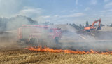 На Донбасі зростає кількість лісових пожеж: ООС закликає дотримуватися правил пожежної безпеки