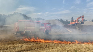 На Донбассе растет количество лесных пожаров: ООС призывает соблюдать правила пожарной безопасности