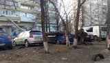 дерево
