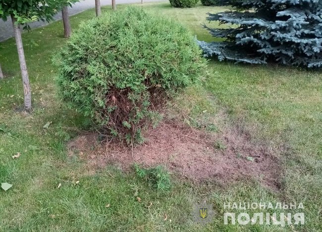 У дворі будинку екснардепа Розенблата в Житомирі вибухнула граната 02