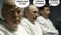 Політична божевільня