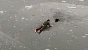 Zhytomyr resident jumped into icy water to save dog that fell into ice hole. VIDEO