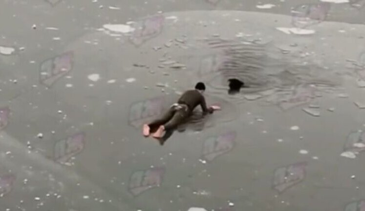 Zhytomyr resident jumped into icy water to save dog that fell into ice hole. VIDEO