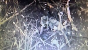Aerial reconnaissance caught two occupiers in piquant situation: "He is lying naked. What does he do? Do boys have love?". VIDEO