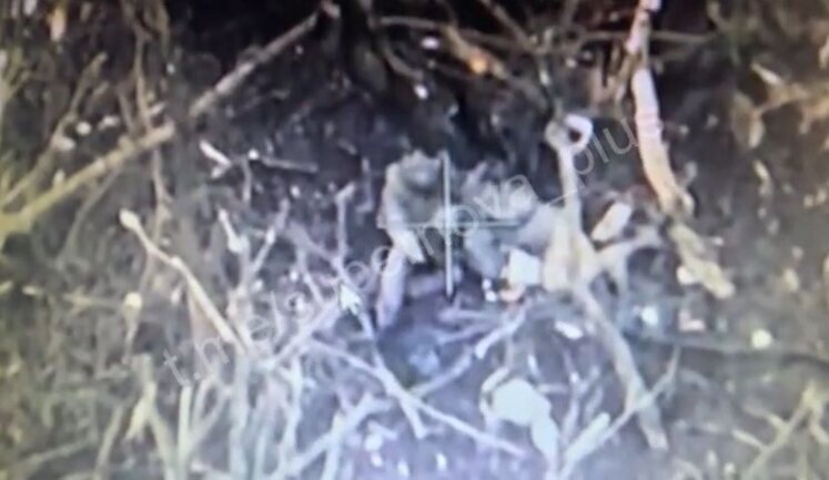 Aerial reconnaissance caught two occupiers in piquant situation: "He is lying naked. What does he do? Do boys have love?". VIDEO