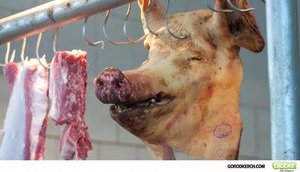 В Россию запретили ввозить украинское мясо