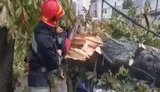Під час потужної зливи з ураганом у Вінниці попадали дерева, а машини плавали вулицями. ВІДЕО+ФОТОрепортаж