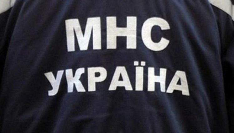 Шершни напали на людей в Днепре - один мужчина погиб, - ГСЧС
