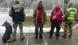 Border guards detain violators in mountains