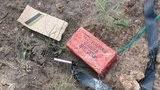 теракт счастье