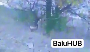 Дрон ЗСУ вразив окупанта в кущах зі спущеними штанамим. ВIДЕО 18+