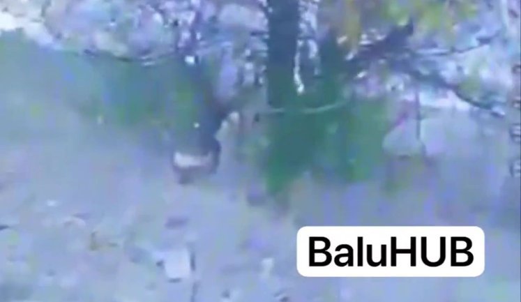 Дрон ЗСУ вразив окупанта в кущах зі спущеними штанамим. ВIДЕО 18+