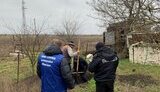 херсонщина,ексгумація