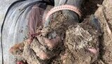 катування