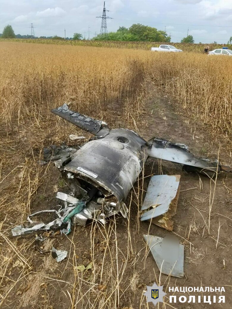уламки ракети Х-101 на Вінничині