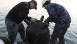 На кораблях ВМС України в Азовському морі відбулися навчання з роботи з донними мінами, - пресцентр ОС. ФОТОрепортаж