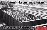 Своз телов