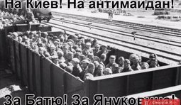 Своз телов