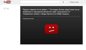 "Беркут" пытается зачистить интернет дубинками", - МВД массово удаляет видео избиения митингующих Евромайдана. ФОТО