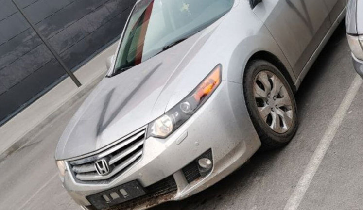 Russian invaders take cars stolen in Ukraine from Belarus. VIDEO&PHOTOS