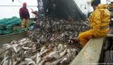 Росія перенесла військово-морські навчання з економічної зони Ірландії після протестів місцевих рибалок та офіційного Дубліна