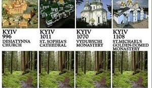 Скажена собака на сіні