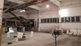 Руководство госпредприятия на Ивано-Франковщине незаконно продало со складов более 3 тыс. тонн зерна и муки на 15 млн грн, - СБУ. ФОТОрепортаж