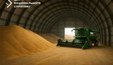 На оккупированных территориях рекордное падение урожайности