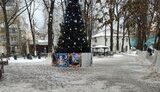 ялинка