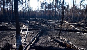 All fires in Chornobyl Zone contained after Russian drone attack. PHOTO
