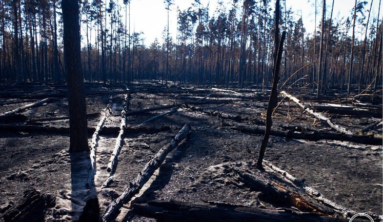 All fires in Chornobyl Zone contained after Russian drone attack. PHOTO