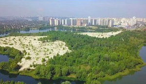 Київрада завтра планує знищити 176 га екопарку Осокорки, - депутатка Михайлова