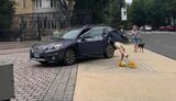 сша,маркарова