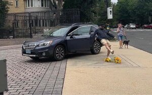 сша,маркарова