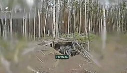 Сталевий кордон уразив дві гармати та склад БК