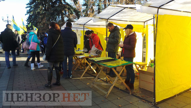 Владельцы евроблях пикетируют Раду с требованием принятия законопроектов, снижающих акциз на растаможку машин: движение по ул. Грушевского заблокировано 15