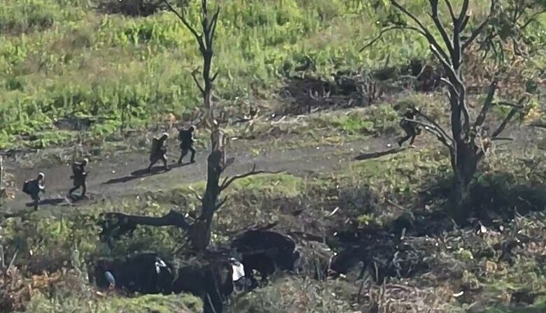 Russian assault group of five occupiers before and after attack on Ukrainian positions. VIDEO
